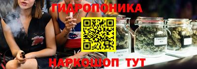 mdpv Кандалакша